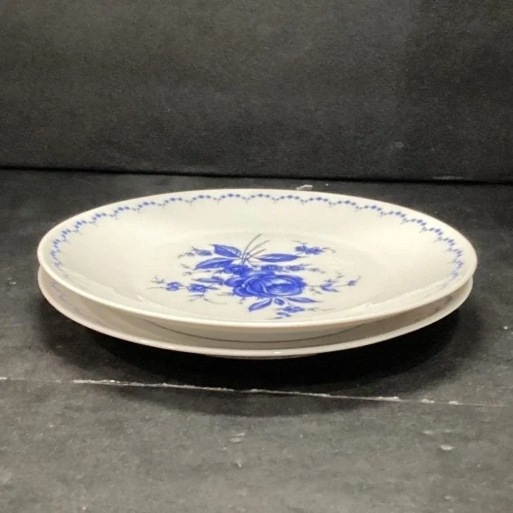 Alboth & Kaiser Bavaria Salad Plates,‎ Set of 2, Vintage Blue Floral Tableware